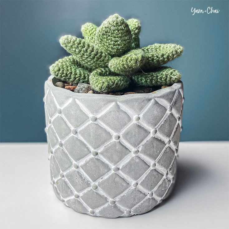 Succulents are staples of a modern chic workplace. This succulent is made of individual pieces and joined at the end by a thread of yarn, really simple even for beginners!