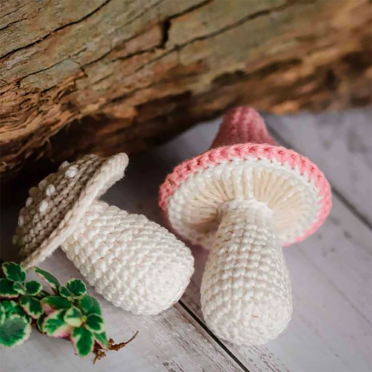 Mushrooms are not technically plants but these crochet fungi make adorable little decorations that add some colour to your leafy green garden. They are also easily customizable and not super hard to make either.