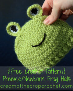 18 Free Crochet Frog Hat Patterns • Made From Yarn
