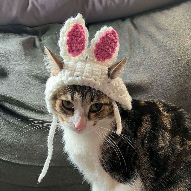 Transform your pet cat into a cute little rabbit with this crochet rabbit ear cat hat. They're great hats for your cats during Easter!