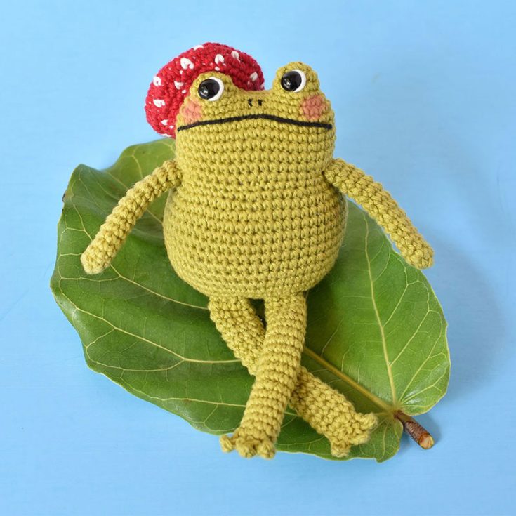 If you want a frog crochet with personality, this quirky smile and toadstool beret doll is the one for you. difficulty: Intermediate and above