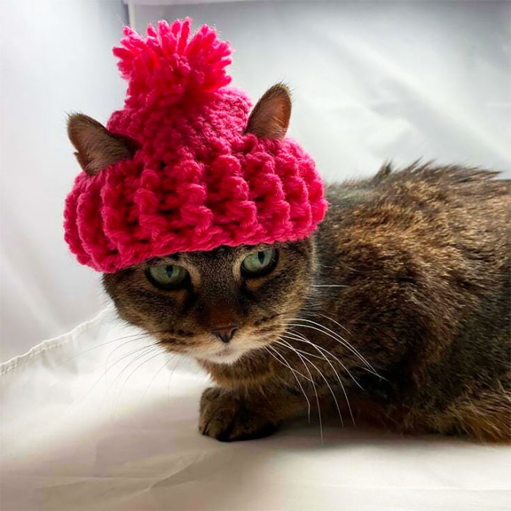This crochet beanie is for those cat moms/dads who are looking for a more laid-back, simple hat for their cats. Great for everyday wear.