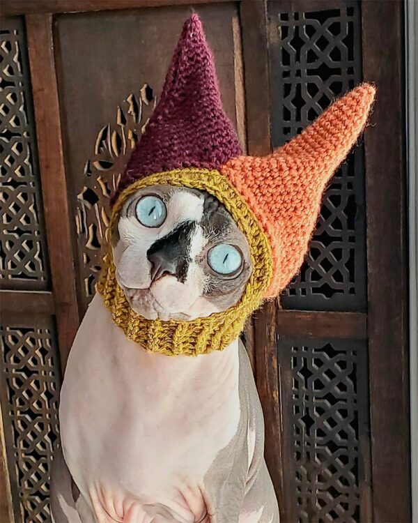 33 Free Crochet Cat Hat Patterns • Made From Yarn