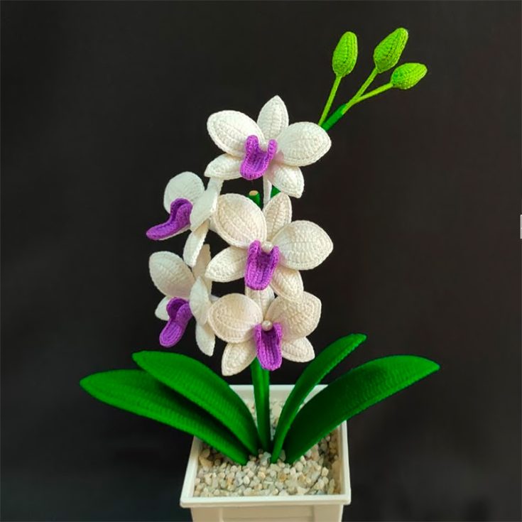 Another crochet orchid to arrange into a vase, into a bouquet, or simply be given by the stalk to a person that embodies love, luxury, beauty, and strength.