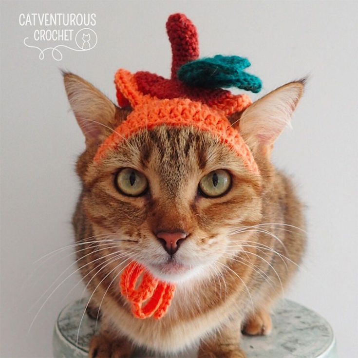 Learn how to make this beginner-friendly Fluffy Muffin Pumpkin Cat Hat. It's easy yet cute, and you will be done with your crochet cat hat in no time.
