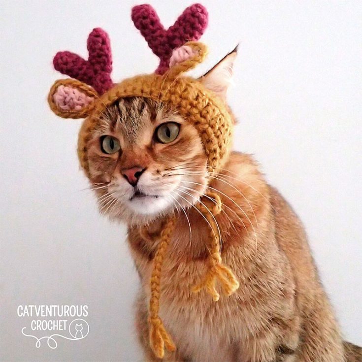 Christmas is just around the corner! To get your fellow cats and kittens prepared for the festive season, crochet this reindeer cat hat for them to welcome the holidays.