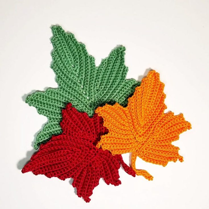 This gorgeous maple leaf has detailed written instructions and a step-by-step video to guide you. This pattern fits intermediate crocheters, but if you follow along with the video, you should be all alright!