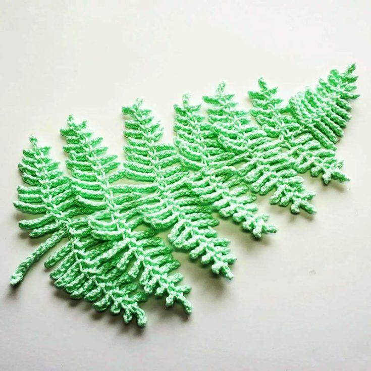 This simple crochet fern pattern is made entirely from chains and slip stitches! This is a great pattern if you want something simple and unique.