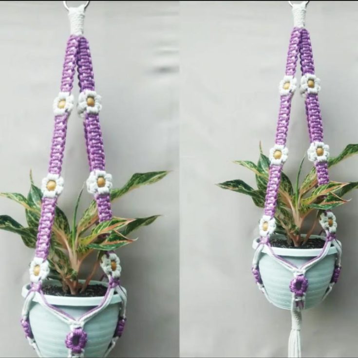Similar to the daisy plant hanger pattern, this purple cord floral design requires minimal effort, and it is beginner-friendly. Watch the tutorial to learn the tips, tricks, and techniques to achieve this look.