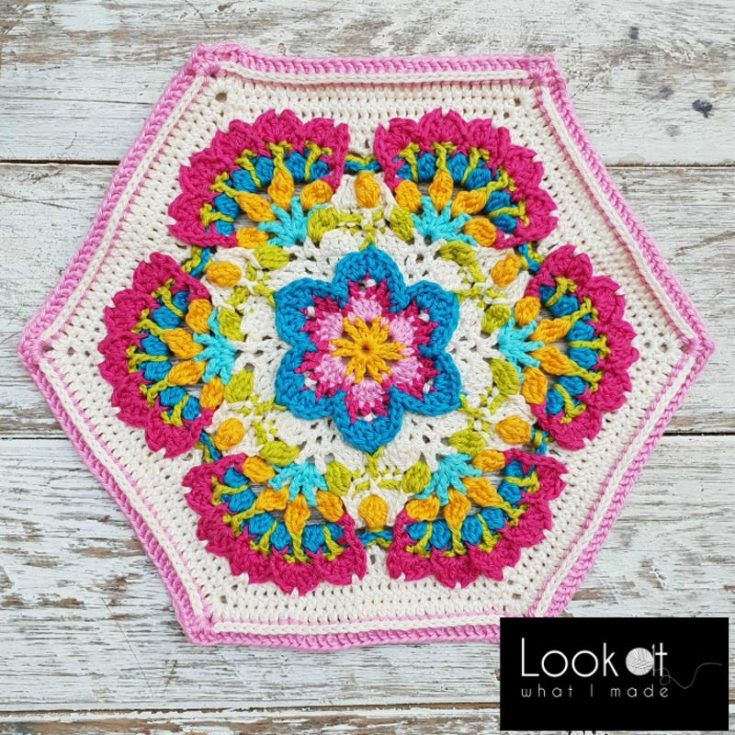 This Mary's Memory hexagonal motif has a touching backstory to its creation that everyone should look at. Its beautiful color celebrates life and honors the women who have led inspiring lives. There are a variety of charts throughout the pattern to refer to.