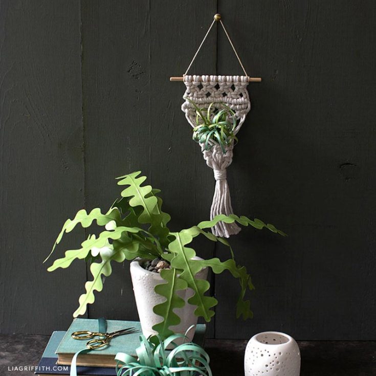 This mini macrame plant hanger is suitable for those who love miniature plants such as succulents and many more. Though it is small, this pattern is more suitable for intermediates. With just a few knots and some colorful cords, you can macrame this lovely design that finishes at 7&rdquo; in size.