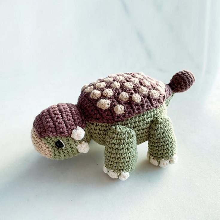 This crocheted dinosaur pattern is modeled after an armored dinosaur during the late Cretaceous period. It had bony plates covering its body, a club at the end of its tail, and a beak and small teeth for browsing plants. However, it's a reasonably simple pattern using only basic and bobble stitches as a special stitch.