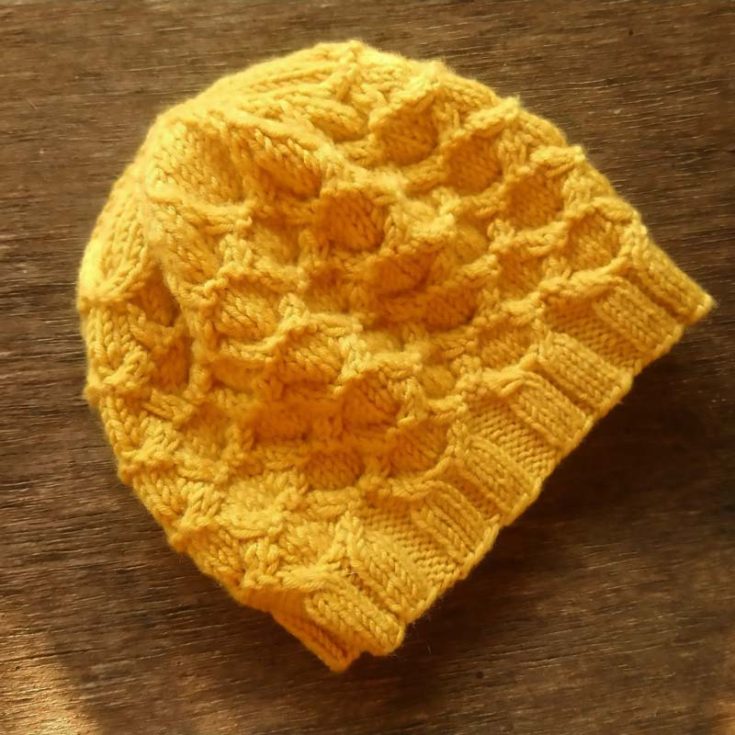 Isn&rsquo;t this beanie just so cute? It&rsquo;s a honeycomb fat with a flower crown finish, and it&rsquo;s pretty easy and quick to knit because it&rsquo;s a beginner-level project. This beanie also has various sizes for babies, toddlers, teens, and adults. Give it a shot!&nbsp;