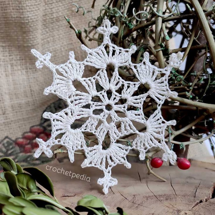 This PDF download offers twelve free snowflake designs. You can create one or make all for a variety of snowflakes to decorate your home with.