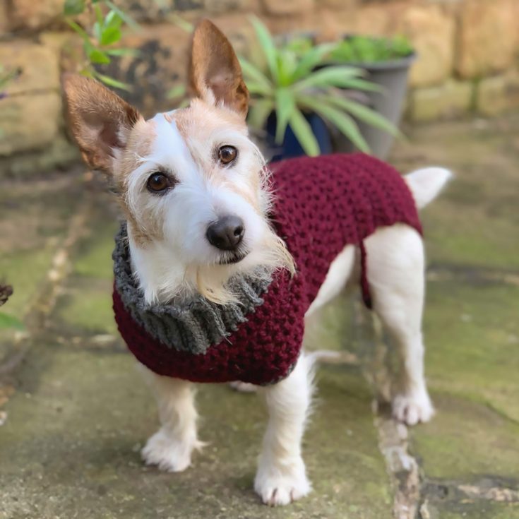 These crochet dog sweaters come in a high turtleneck that can be customized into a different color for your different furry friends.