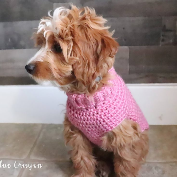 Learn how to make this easy, basic small/medium sweater. Embellish it with your dog's initials to spruce it up and personalize it.
