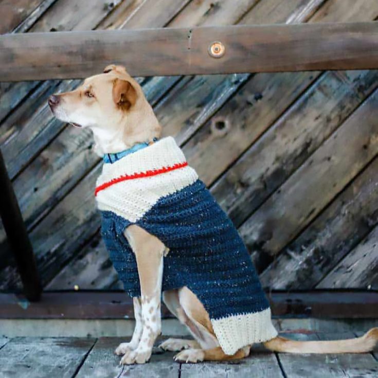 Learn how to make this easy sweater pattern that is designed in nine sizes to fit very small to very large dogs, the tutorial includes notes on how to customize further for your furry friend as well!