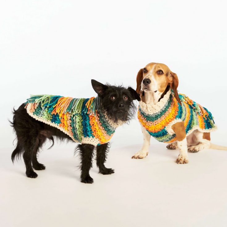 Just because the sun is setting earlier doesn't mean you have to dress your pup in dreary, bleak colors! This fun, colorful sweater has frills at the top for a dramatic flair and is suitable for avid beginners.
