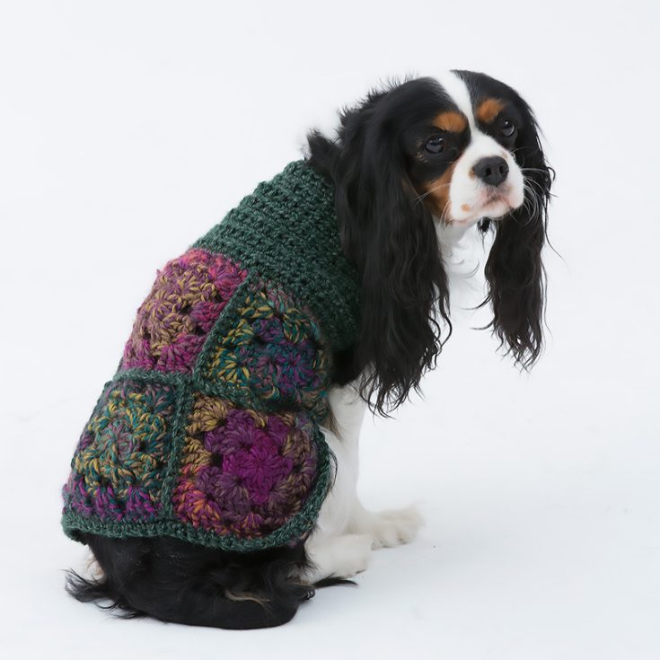 Dress your dog up in this hippie, cool sweater, which is great for avid beginners and will leave your dog feeling like the swagger dog in the park!