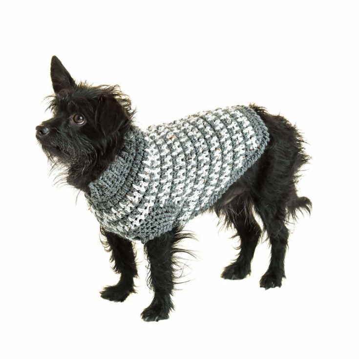 This is another easy yet stylish dog sweater pattern. It can be made in sizes S, M, and L to suit different variations of your dog!