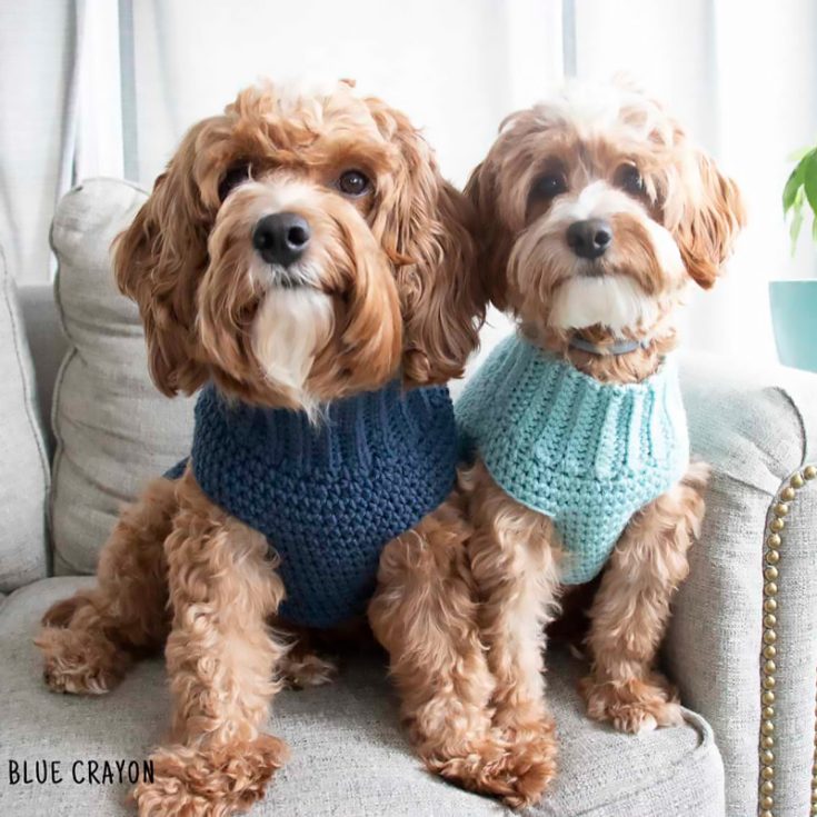 This is a pull-over-the-head type sweater, so make sure your dogs are fine with this before proceeding to make this turtle-neck sweater. It's super easy, and it comes with a size chart as well.
