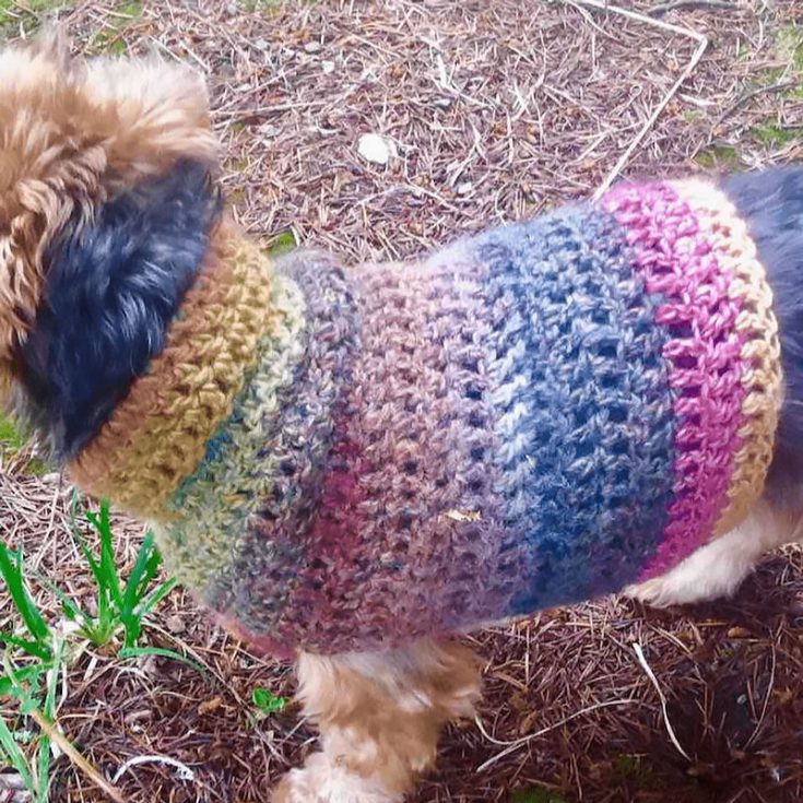 Keep your pup warm in this colorful and vibrant that you can easily make as a beginner! This dog jumper is suitable for small pups.