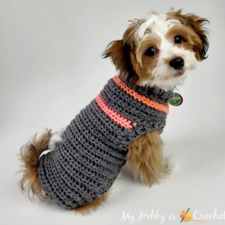 This dog sweater crochet pattern is suitable for smaller pups. Have fun experimenting with different color combos to find the one that suits your pup the best.