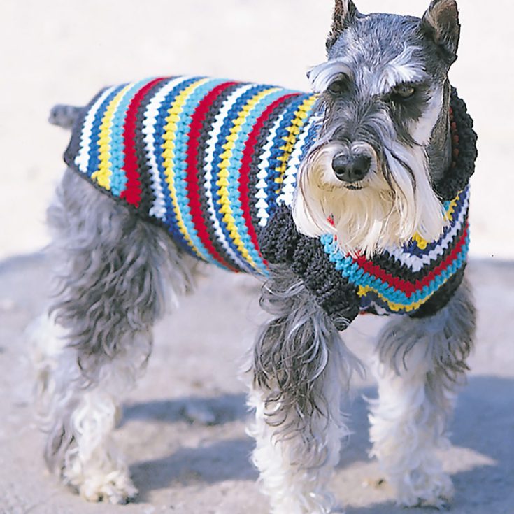 Your pet will be the talk of pet town and the hottest gossip amongst all parkgoers in this striking striped dog coat crocheted from Bernat Super Valued yarn!