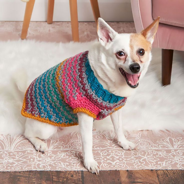 Make the shift in seasons and drop in temperature more bearable for your dogs with this colorful sweater pattern. This is an avid beginner level pattern.