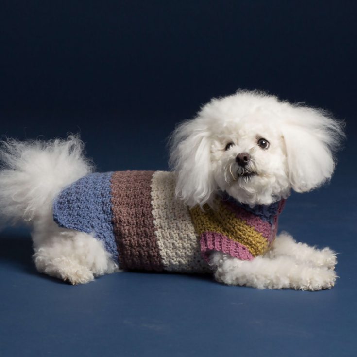 Make your fur baby this turtleneck onesie with a standardized color at the edges to bring uniformity to your textured piece.