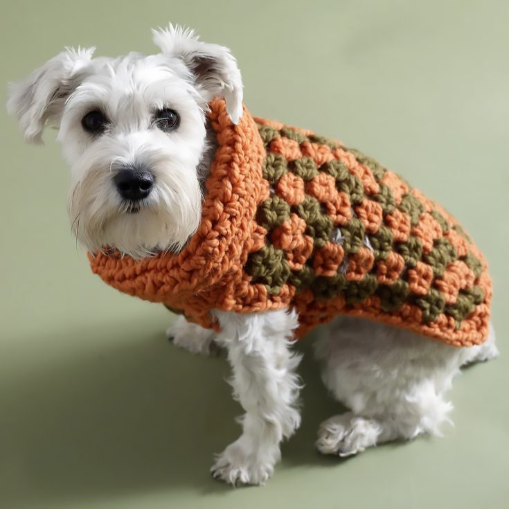 Using super bulky yarn will result in this cute patterned and textured sweater to be ready in no time! Ready for your puppy to brace the chilly weather.